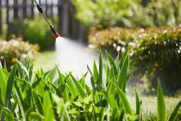 24/7 Emergency Mosquito Control experts in Lepanto, AR